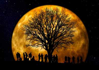 silhouette of people standing neat tree under the moon